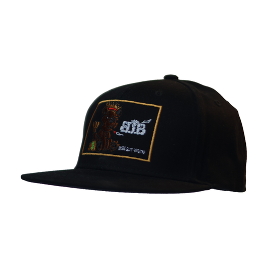 Black Stunting Flat Teddy Design Cap