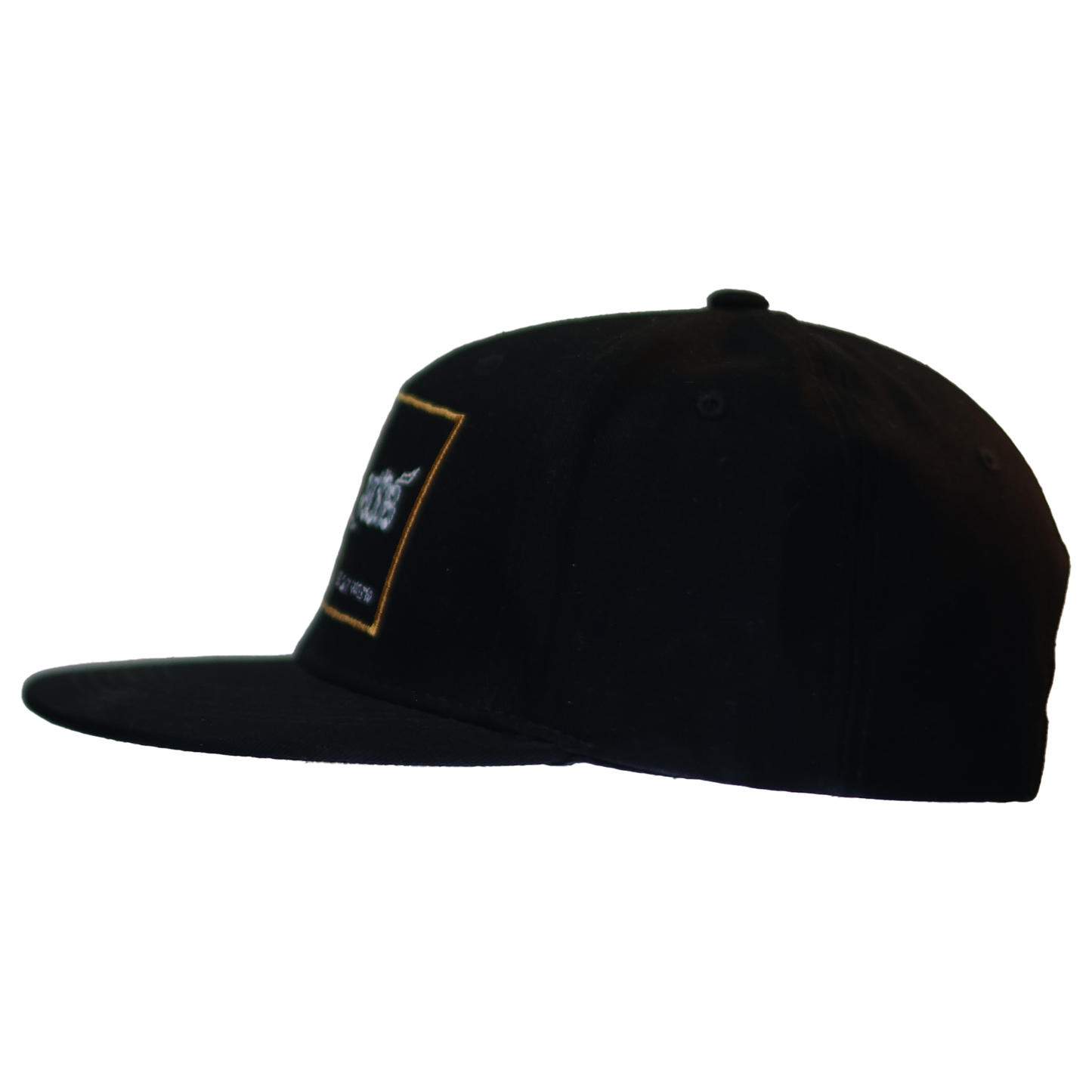 Black Stunting Flat Teddy Design Cap