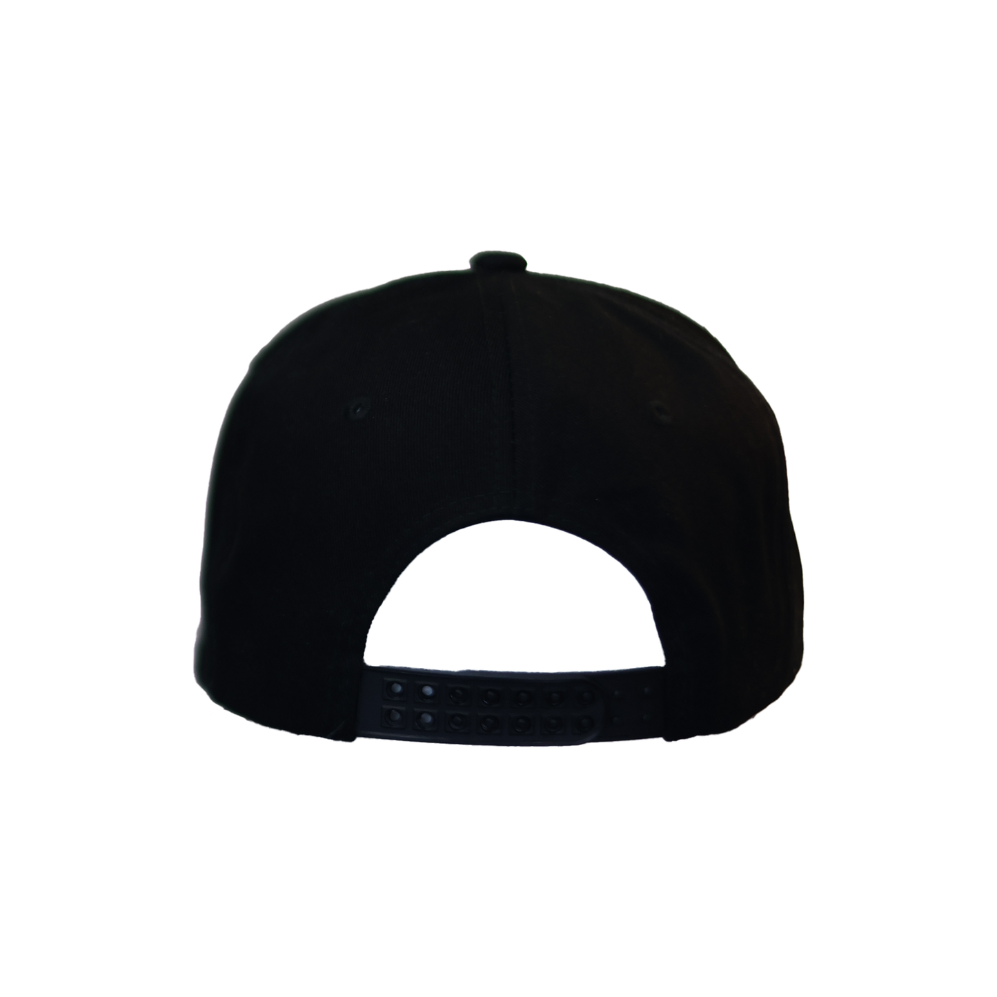 Black Stunting Flat Teddy Design Cap