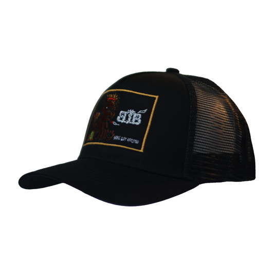 Black Stunting Curved Teddy Design Cap