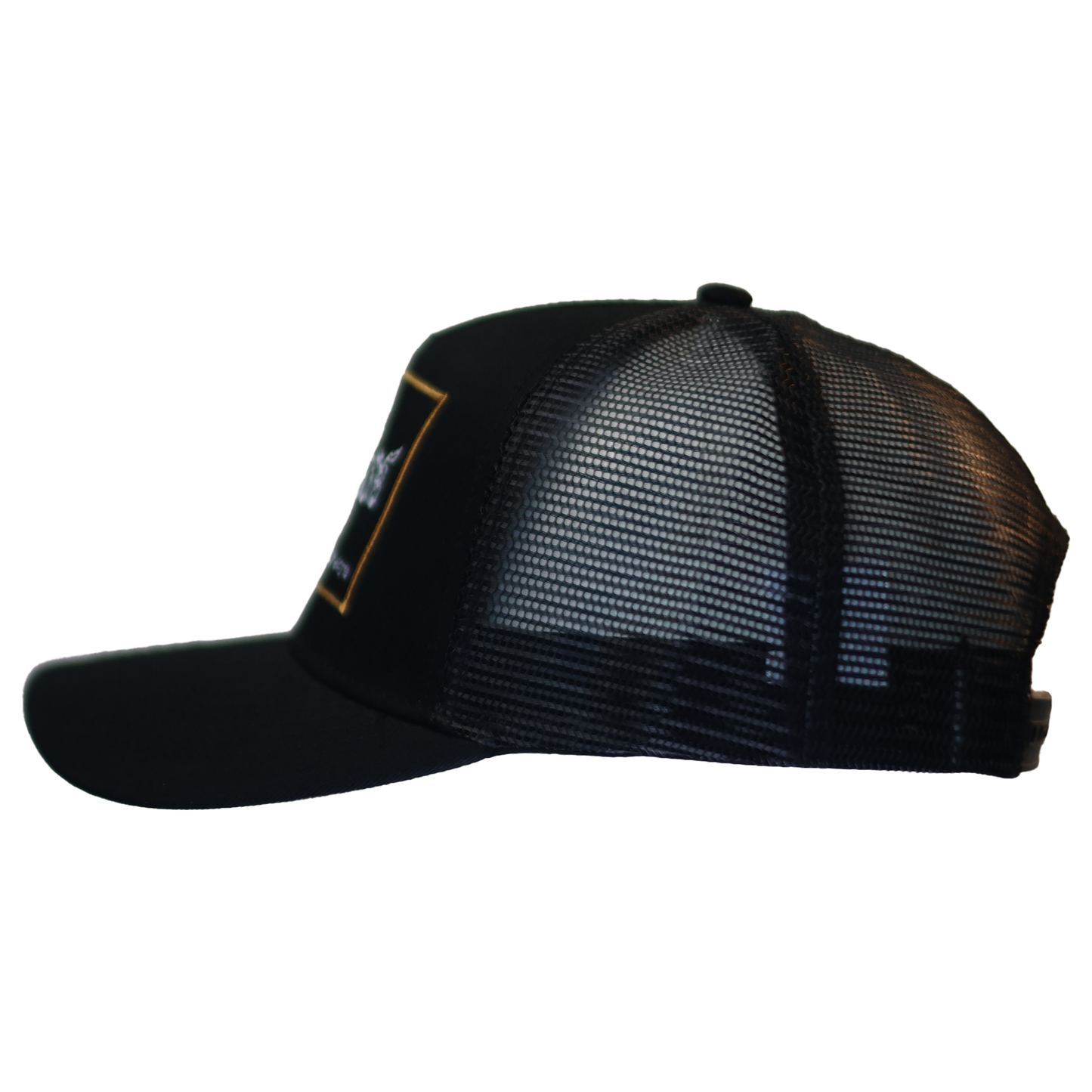 Black Stunting Curved Teddy Design Cap