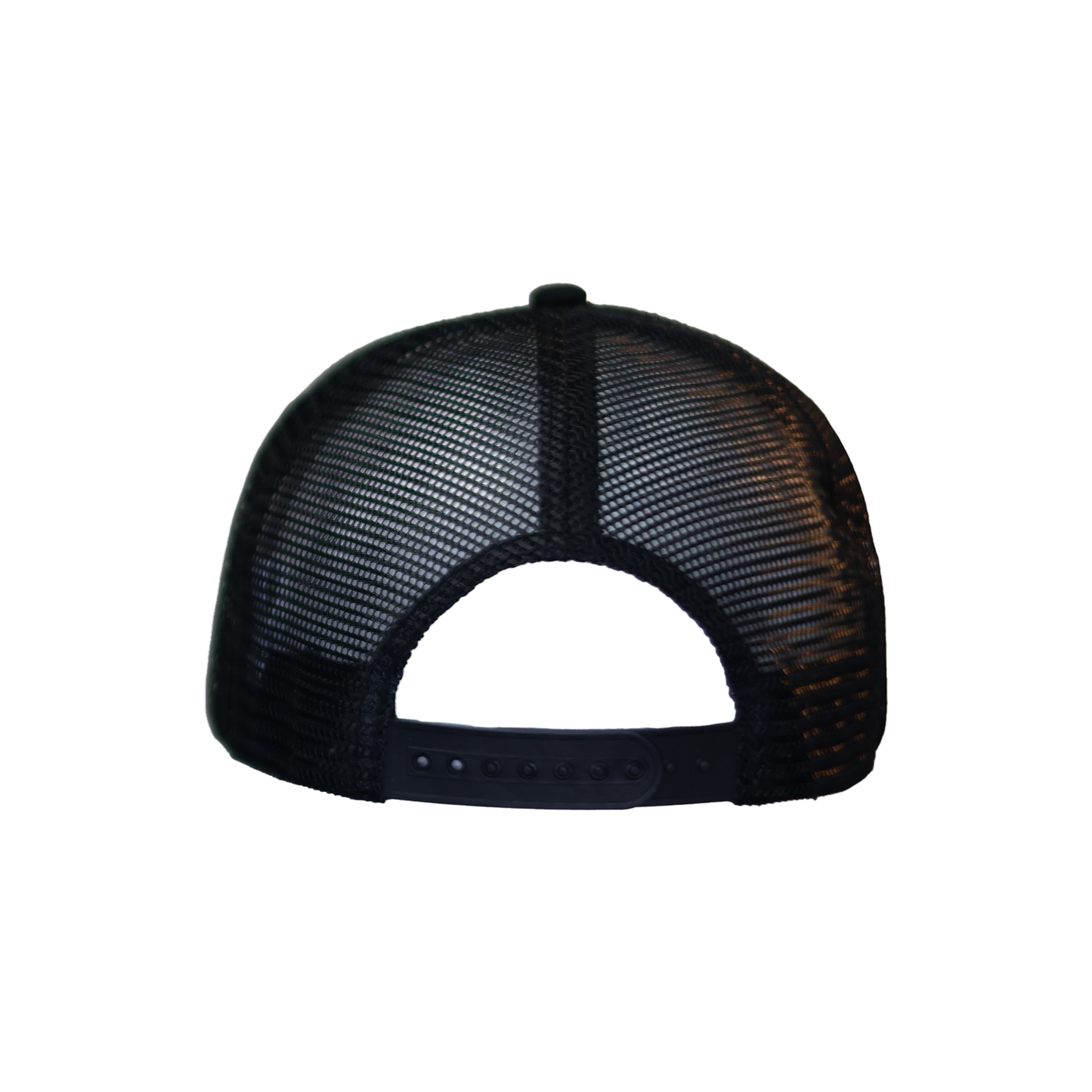 Black Stunting Curved Teddy Design Cap