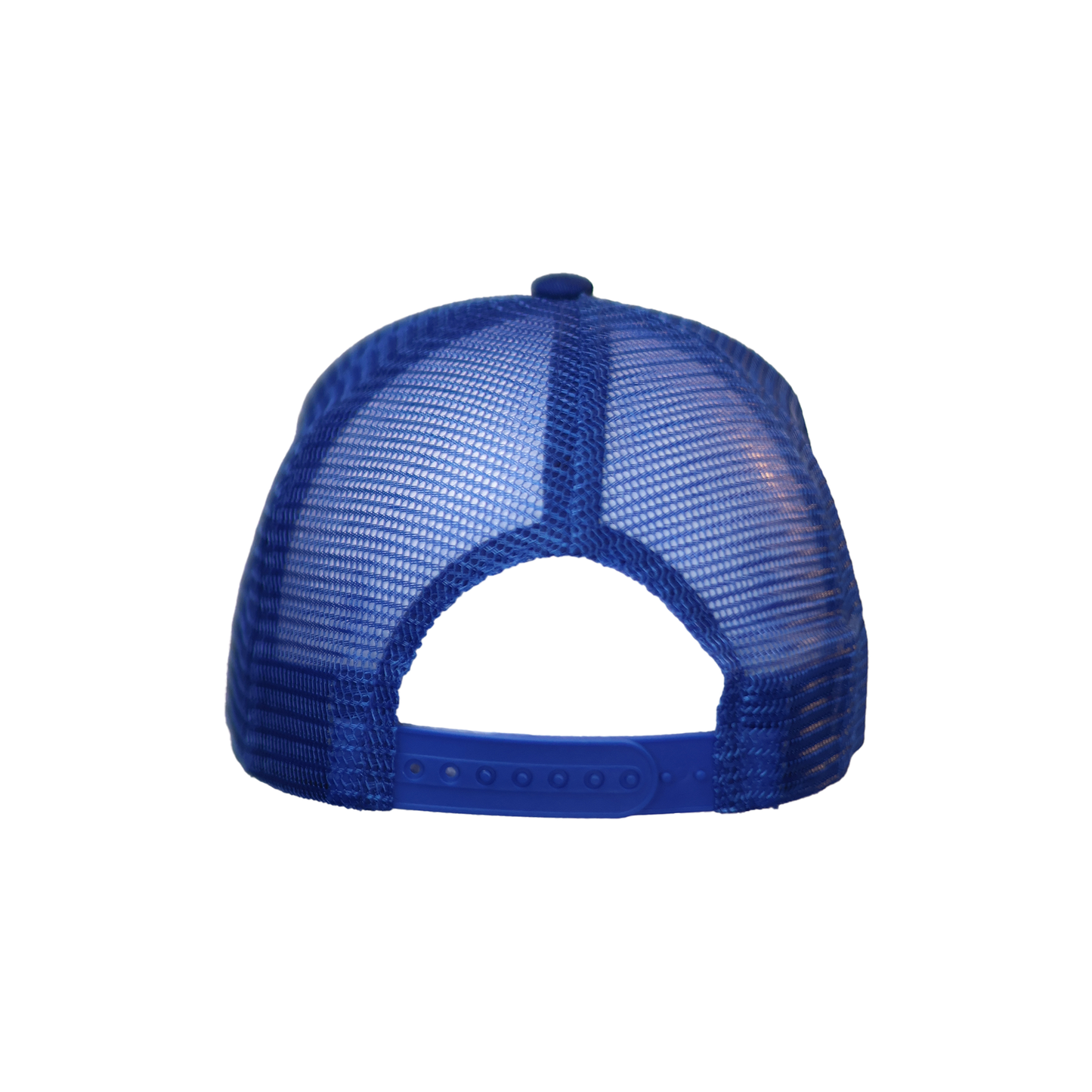Blue Stunting Curved Teddy Design Cap