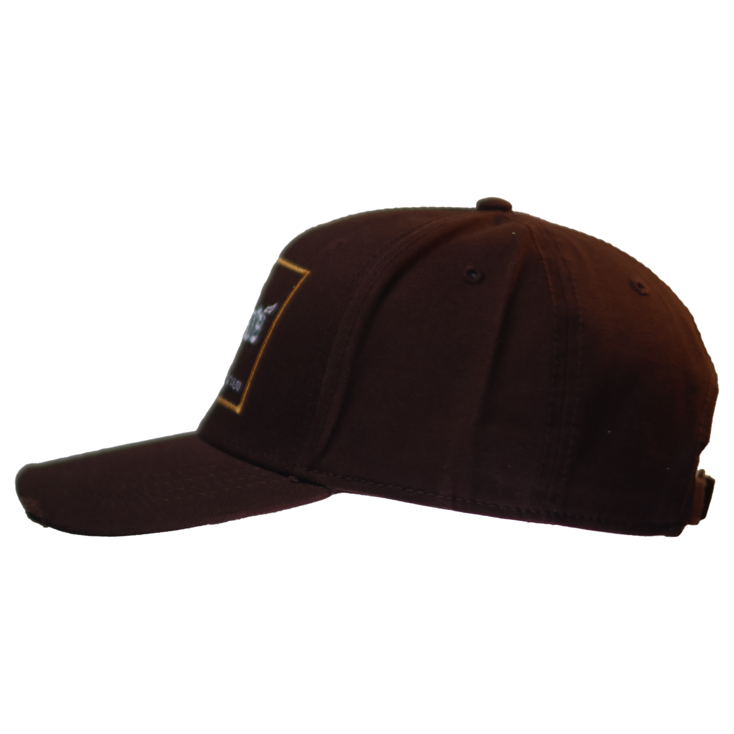 Brown Stunting Curved Teddy Design Cap