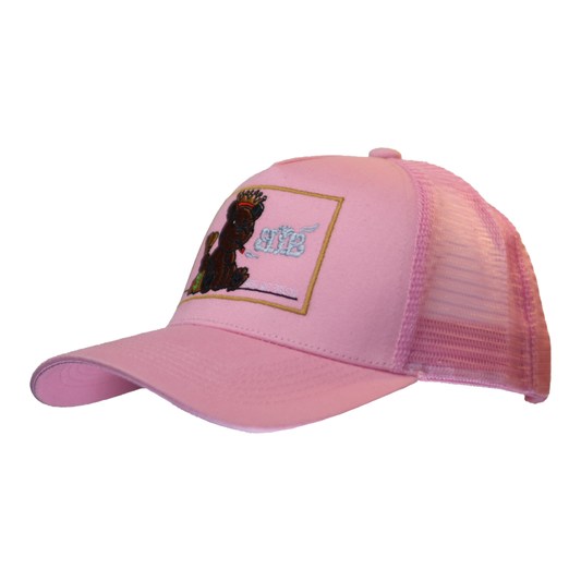 Pink Stunting Curved Teddy Design Cap
