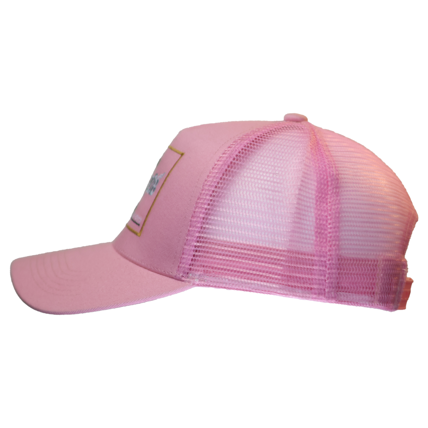 Pink Stunting Curved Teddy Design Cap