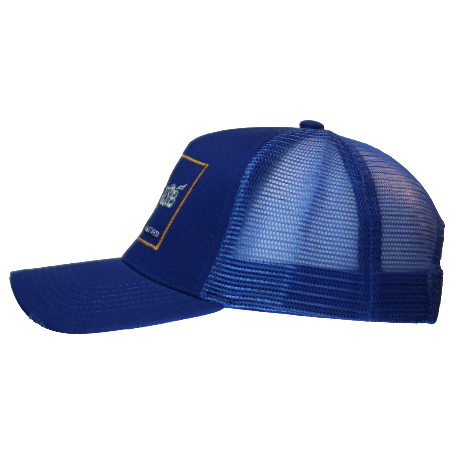 Blue Stunting Curved Teddy Design Cap